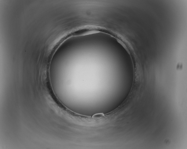 X0000111470015200907131529