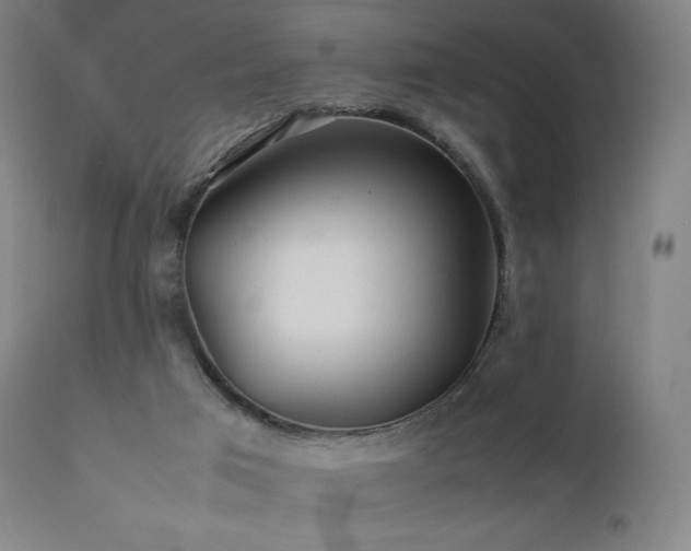 X0000111470017200907131528