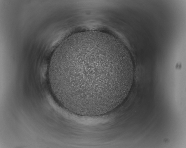 X0000111470018200907131528
