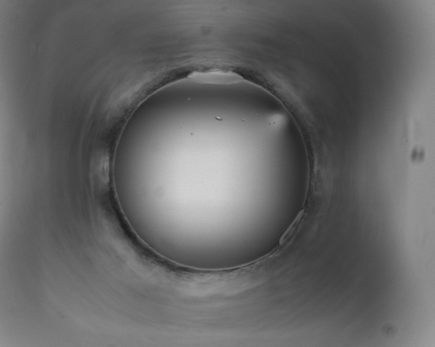 X0000111470021200907131528