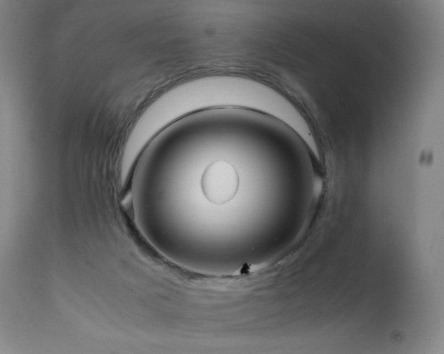 X0000111470025200907131528