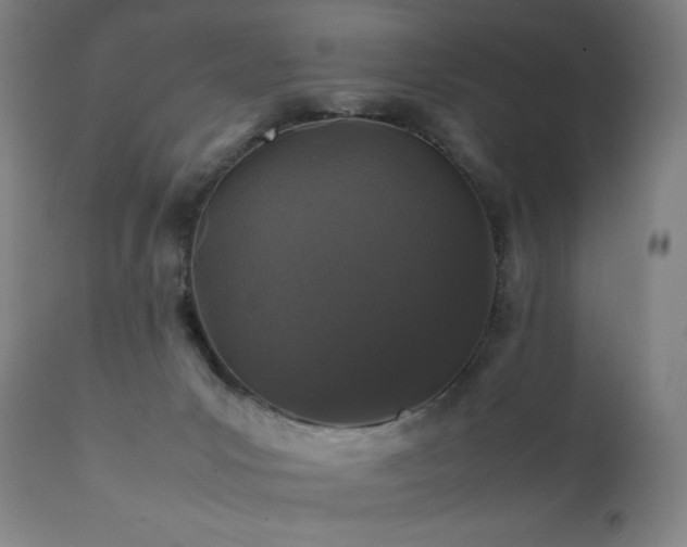 X0000111470031200907131528