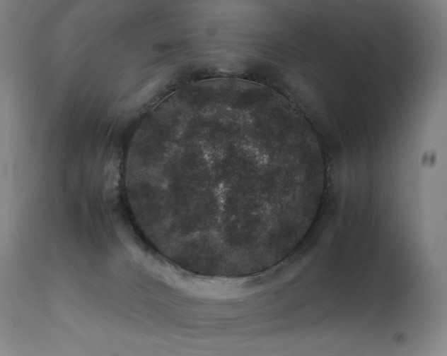 X0000111470032200907131528