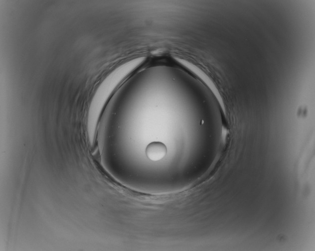 X0000111470033200907131528