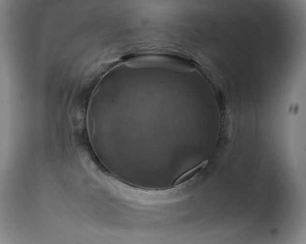 X0000111470039200907131528