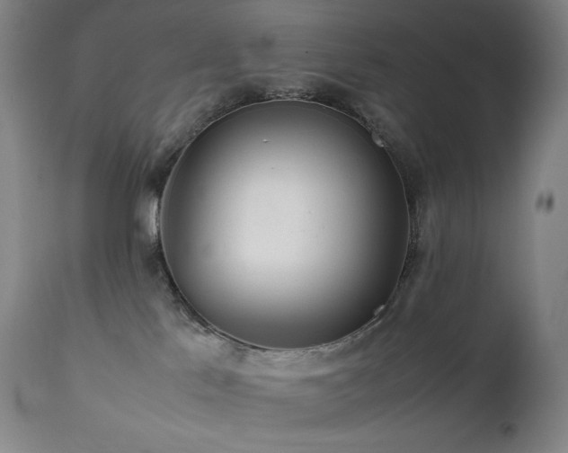 X0000111470041200907131528