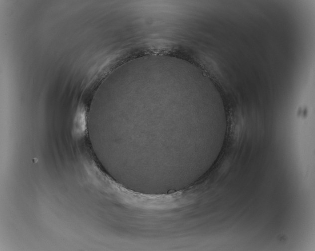 X0000111470042200907131528