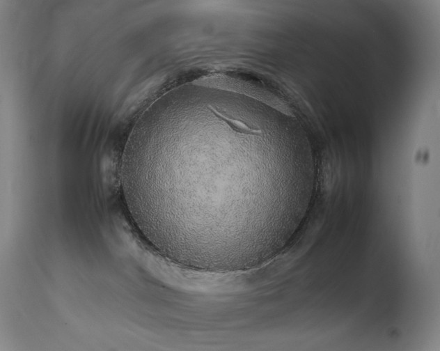 X0000111470044200907131528