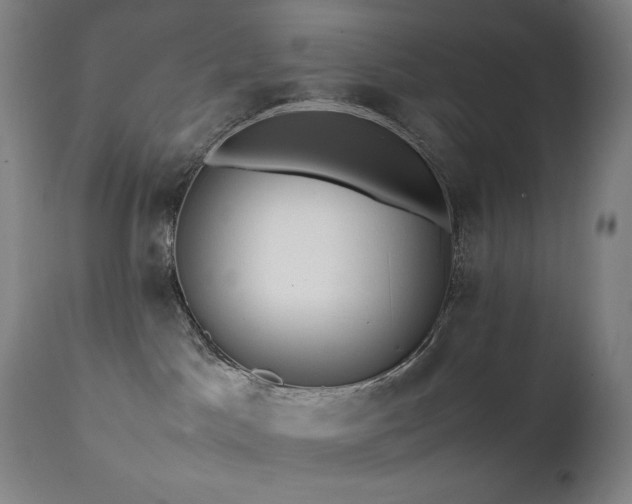 X0000111470045200907131528