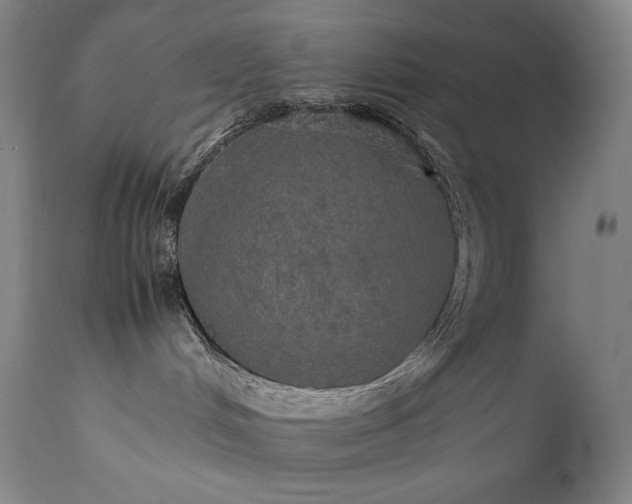 X0000111470048200907131528