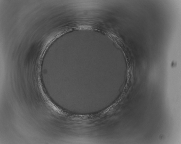 X0000111470049200907131527