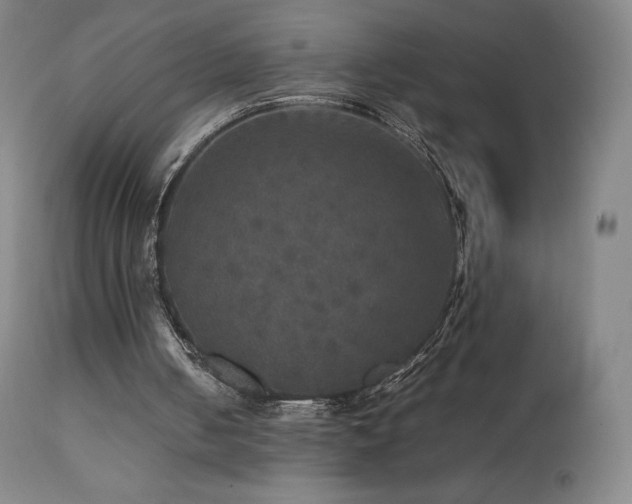 X0000111470050200907131527