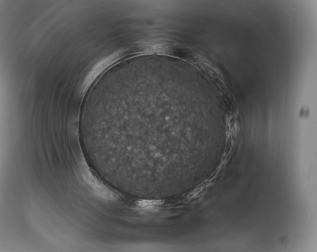 X0000111470051200907131527