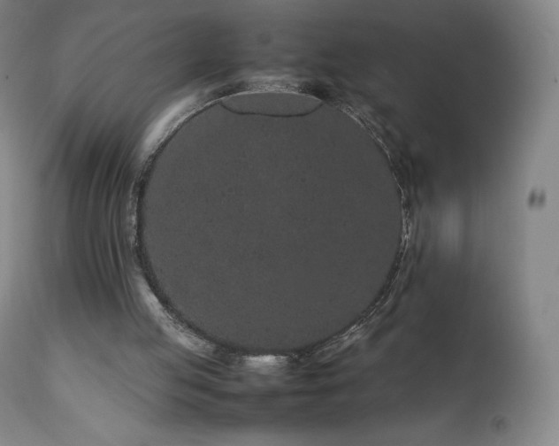 X0000111470053200907131527