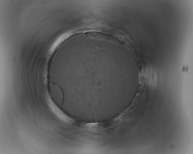 X0000111470054200907131527