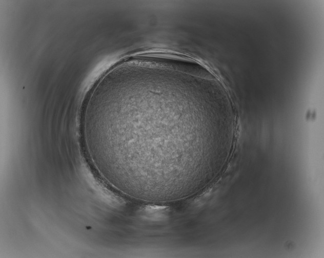 X0000111470055200907131527