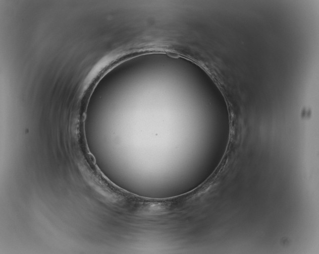 X0000111470056200907131528