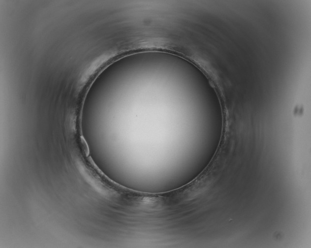 X0000111470060200907131528