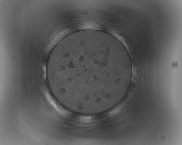 X0000111470061200907131528
