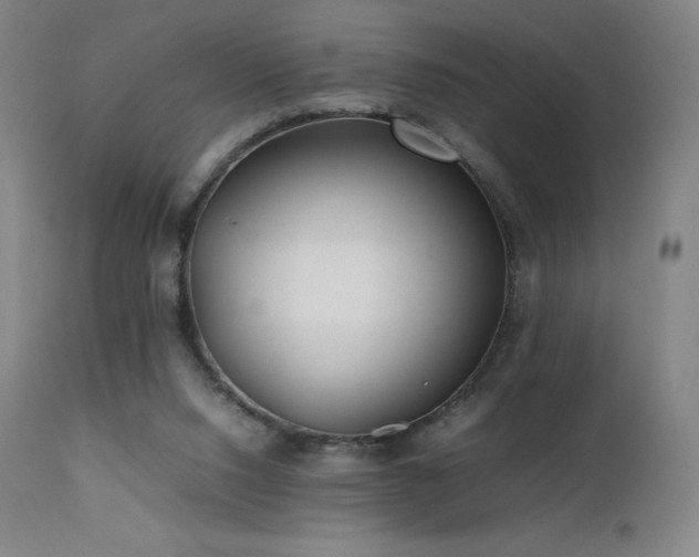 X0000111470064200907131528
