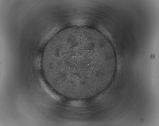X0000111470065200907131528