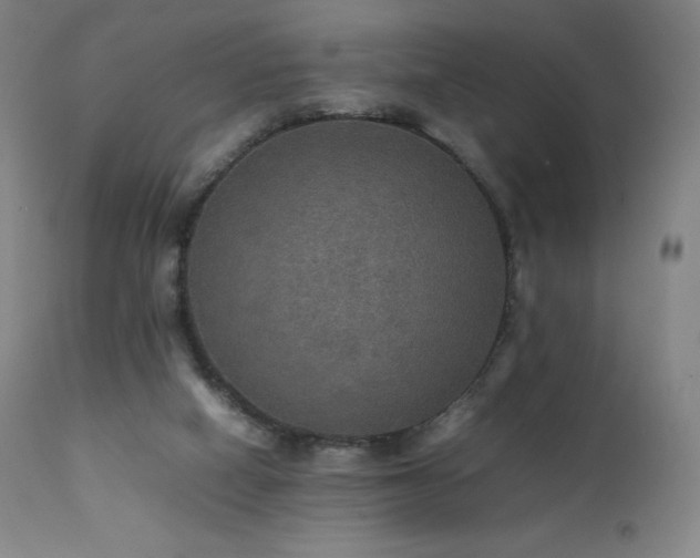 X0000111470066200907131528
