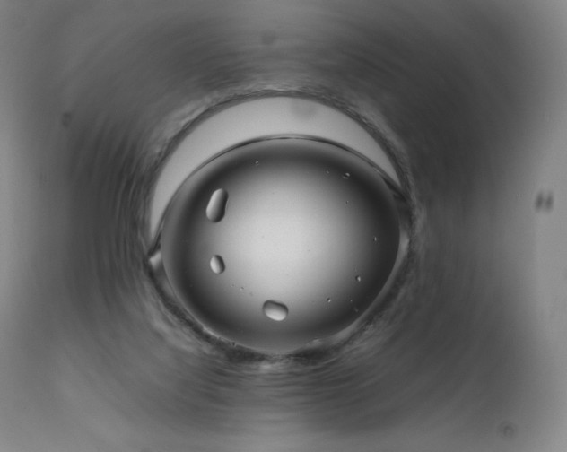 X0000111470068200907131528
