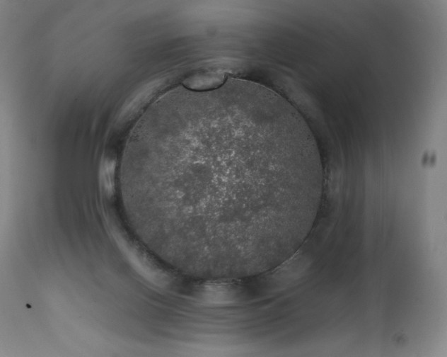 X0000111470070200907131528