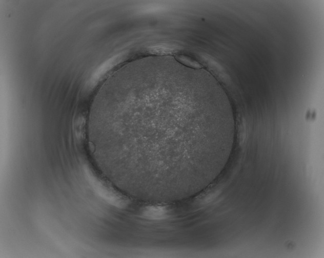 X0000111470071200907131528
