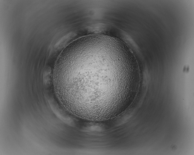 X0000111470073200907131528