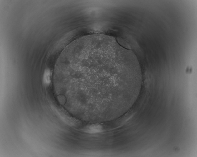 X0000111470075200907131528