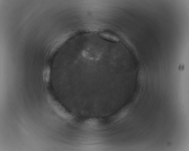 X0000111470076200907131528