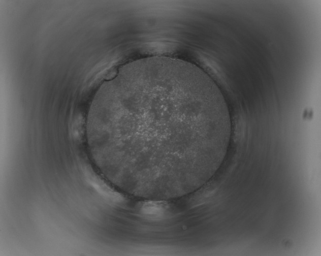 X0000111470077200907131528