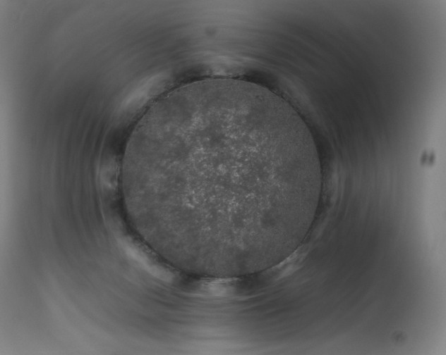 X0000111470078200907131528