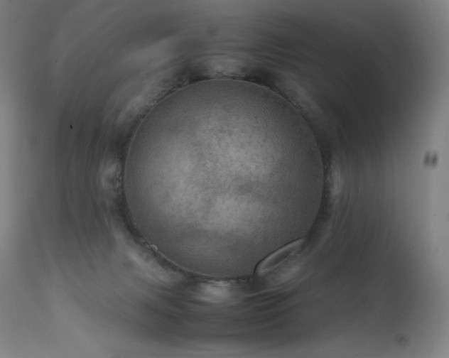X0000111470079200907131528