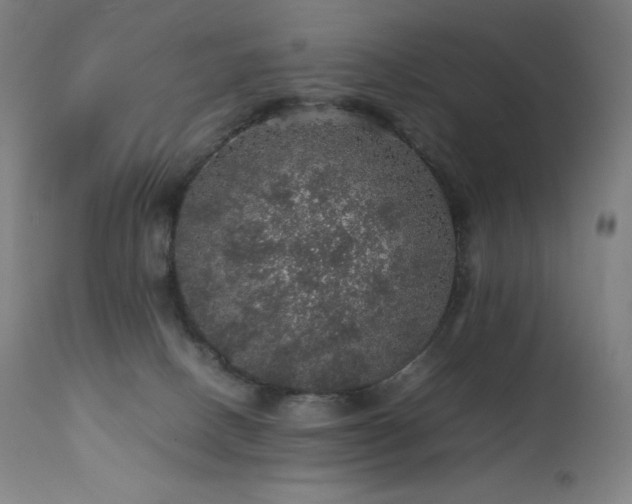 X0000111470082200907131528