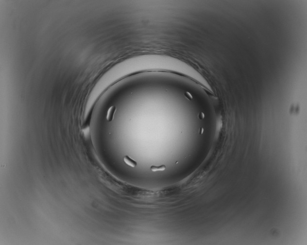 X0000111470084200907131528