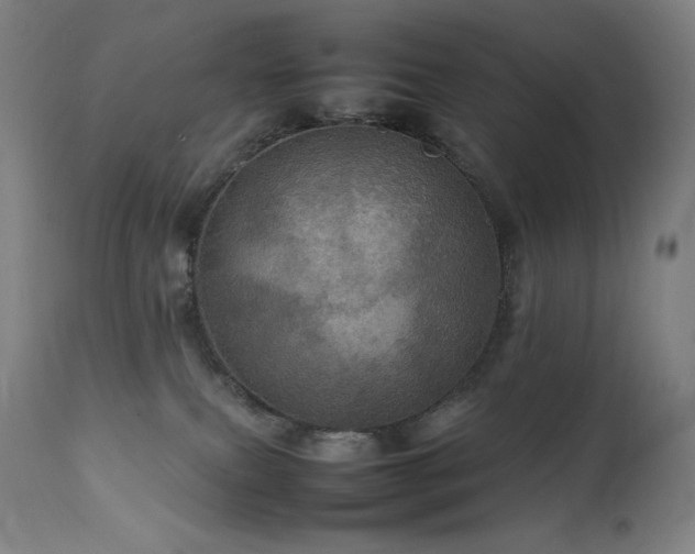 X0000111470087200907131528