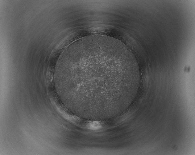 X0000111470091200907131528