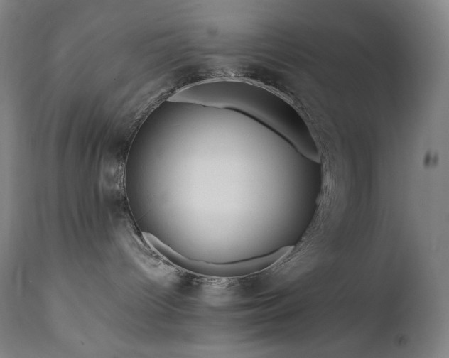 X0000111470096200907131528