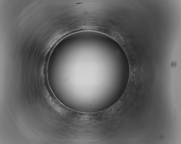 X0000111470098200907131527