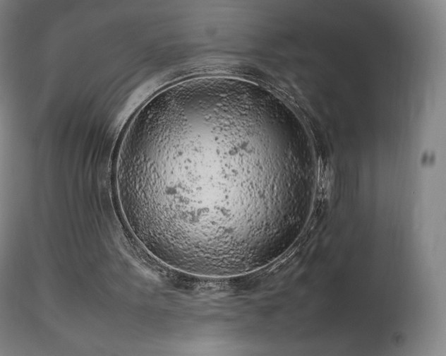 X0000111470099200907131527
