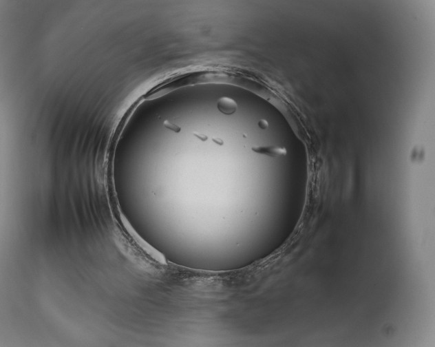 X0000111470100200907131527