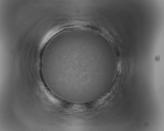 X0000111470101200907131527