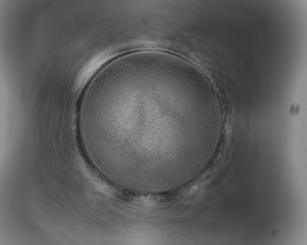 X0000111470103200907131527