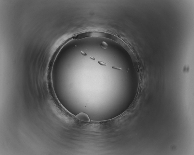 X0000111470104200907131527