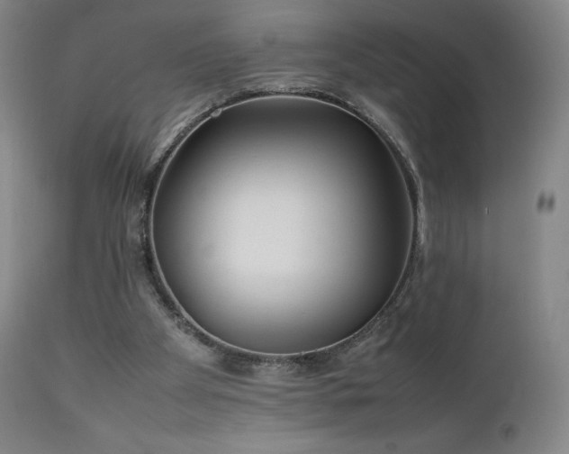 X0000111470105200907131527