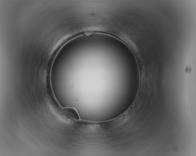 X0000111470108200907131527