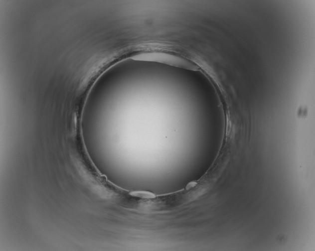 X0000111470109200907131527