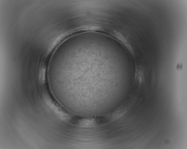 X0000111470110200907131527